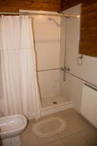 La salle de bains est pourvue d'une douche et de toilettes. dans l'établissement Mutisia Puerto Manzano, à Villa La Angostura