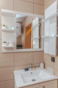 Ένα μπάνιο στο Snow Oasis Kopaonik