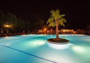 a large swimming pool with a palm tree in the middle at Hotel Greenland - All Inclusive in Oludeniz