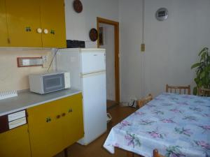 Kuchyňa alebo kuchynka v ubytovaní Apartman (Byt) Klasterni