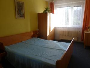 Posteľ alebo postele v izbe v ubytovaní Apartman (Byt) Klasterni