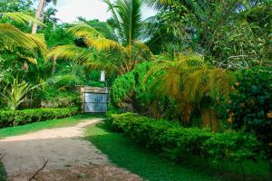 a gate in the middle of a garden with palm trees at Lilac Garden Mirissa in Weligama