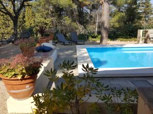 ein Schwimmbad mit Blumentöpfen daneben in der Unterkunft Casa Jetizo in Ontinyent