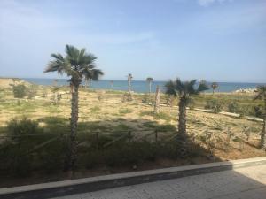 un gruppo di palme sulla spiaggia di Marina di Cala del Sole a Licata