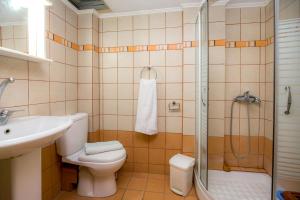 een badkamer met een toilet, een wastafel en een douche bij Evaggelia Nikolaki Sea View in Skala Marion