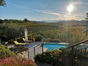 a backyard with a pool and a view of a vineyard at Zoi Apartments in Dobrovo