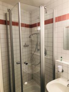 ein Bad mit einer Dusche und einem Waschbecken in der Unterkunft Zum Fehmelbauer in Karlstadt