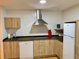 Küche/Küchenzeile in der Unterkunft Apartamentos Maladeta