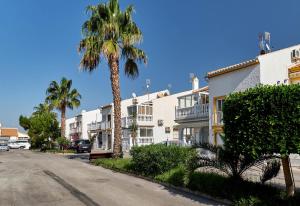 una palmera frente a un edificio con una calle en Apartment Eden, en Guardamar del Segura