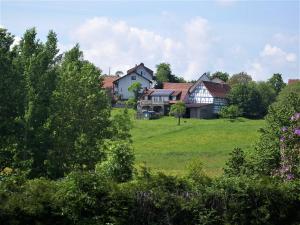 Birstein的住宿－Cäcilienhof，绿地中树木的房屋