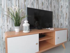 TV a/nebo společenská místnost v ubytování Alcañiz Flats I