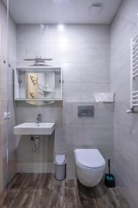 Koupelna v ubytování Didveli Valley Bakuriani