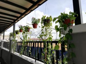 uma varanda com vasos de plantas sobre um corrimão em E-Home Kulai em Kulai