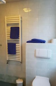 Haus Gabriele في باد ميترندورف: حمام به مرحاض ومناشف زرقاء