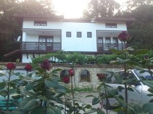 Κήπος έξω από το Villa Nasco