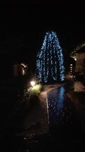 un arbre de Noël est allumé la nuit dans l'établissement Il Piccolo Rifugio - L'Angoletto, à Palidoro