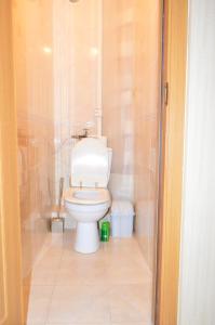 een kleine badkamer met een toilet en een douche bij Apartment on Dacia in Chişinău