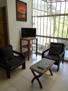 Gallery image of Blue Morpho House B&B in Manuel Antonio