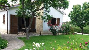 Zahrada ubytování Bungalow Perla