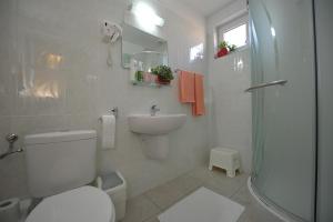 een badkamer met een toilet, een wastafel en een douche bij Villa Brussels in Deva