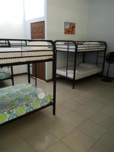 a room with three bunk beds in a room at Blue Morpho House B&B in Manuel Antonio