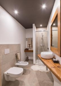 uma casa de banho com um WC, um lavatório e um chuveiro em Ca' Dottori em Albosaggia