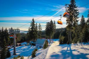 Apartmán u Klínovce im Winter