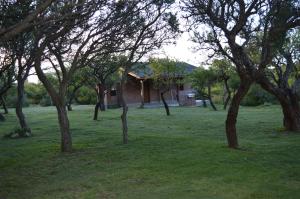 una casa en medio de un campo con árboles en Complejo Arlington Village en Cortaderas