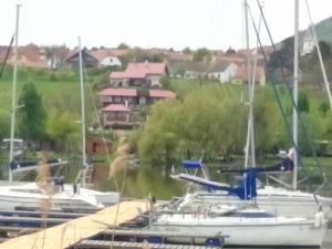 Príroda v okolí penziónu