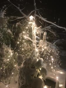 Eberl´s Zirbenlodge að vetri til