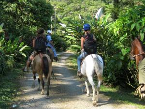 a group of people riding horses down a trail at Celeste Mountain Lodge in Bijagua