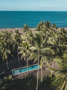 an aerial view of a beach with palm trees and a pool at SomeWhere Else Boutique Resort in Mambajao