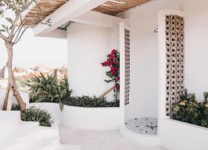 Ein Garten an der Unterkunft Kos One Hostel