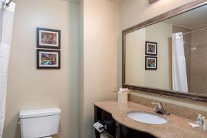 Koupelna v ubytování Comfort Inn & Suites Cedar Hill Duncanville