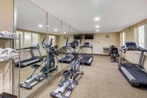 Fitness centrum a/nebo fitness zařízení v ubytování Comfort Inn & Suites Cedar Hill Duncanville