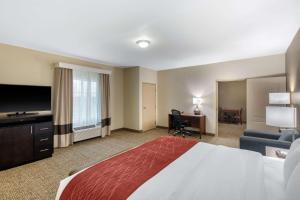 Postel nebo postele na pokoji v ubytování Comfort Inn & Suites Cedar Hill Duncanville