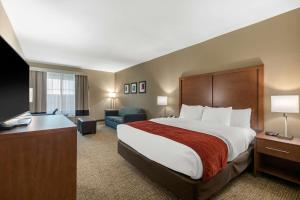 Postel nebo postele na pokoji v ubytování Comfort Inn & Suites Cedar Hill Duncanville