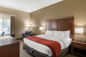 Postel nebo postele na pokoji v ubytování Comfort Inn & Suites Cedar Hill Duncanville