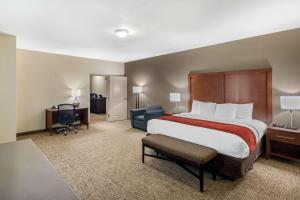 Postel nebo postele na pokoji v ubytování Comfort Inn & Suites Cedar Hill Duncanville