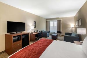 TV a/nebo společenská místnost v ubytování Comfort Inn & Suites Cedar Hill Duncanville