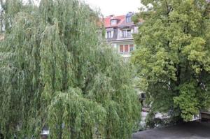 Zahrada ubytování Pension Stoi budget guesthouse