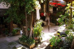 a garden with a tree and some plants at Mountain View GuesthouseChiangmai in Chiang Mai