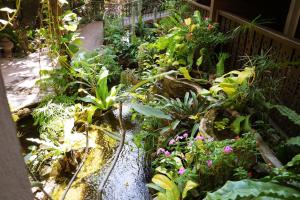a garden filled with lots of plants and flowers at Mountain View GuesthouseChiangmai in Chiang Mai