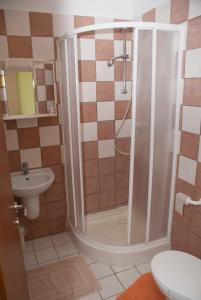 a bathroom with a shower and a toilet and a sink at Pension Zlata Noha in Bratislava