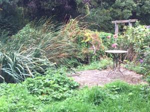 A garden outside Tovey Lodge 