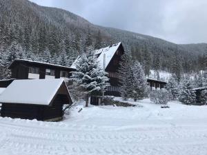 Horská chata Primula - 1000 m nad morom semasa musim sejuk