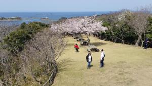 eine Gruppe von Menschen, die auf einem Feld mit Bäumen stehen in der Unterkunft Midori Guesthouse&Hostel in Tsushima