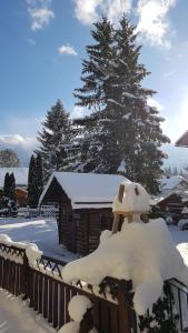 Haus Gabriele خلال فصل الشتاء