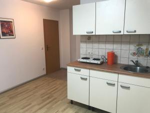 eine Küche mit weißen Schränken und einem Waschbecken in der Unterkunft Appartment Mittweida in Mittweida