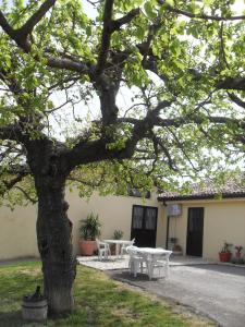 Vonkajšia záhrada v ubytovaní Il Terrazzo Sul Sinni